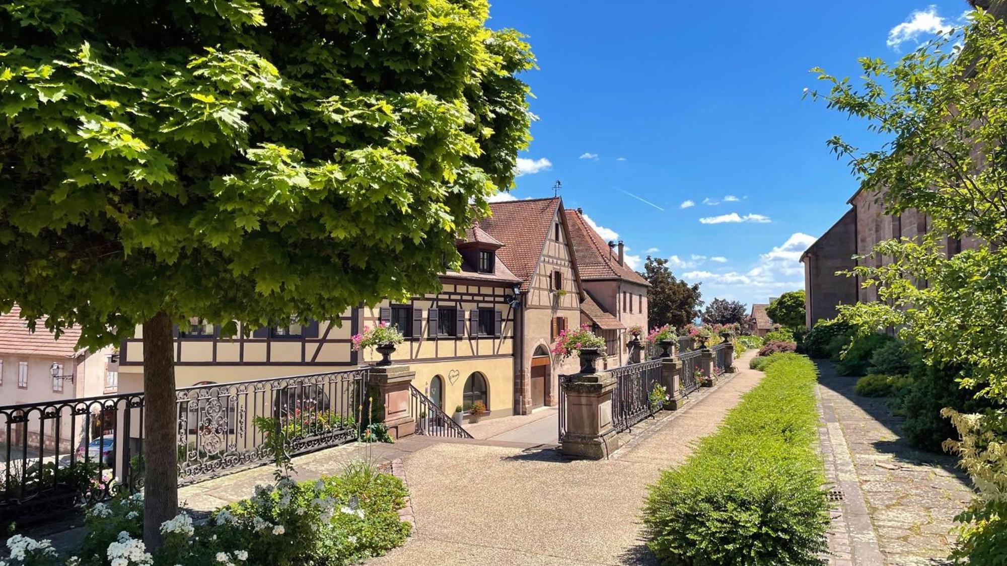 Appartements Duplex 3 Et 4 Personnes - Climatisation - Village Elu Parmi Les "Plus Beaux Villages De France" - Route Des Vins - Centre Alsace เบิร์กไฮม์ ภายนอก รูปภาพ