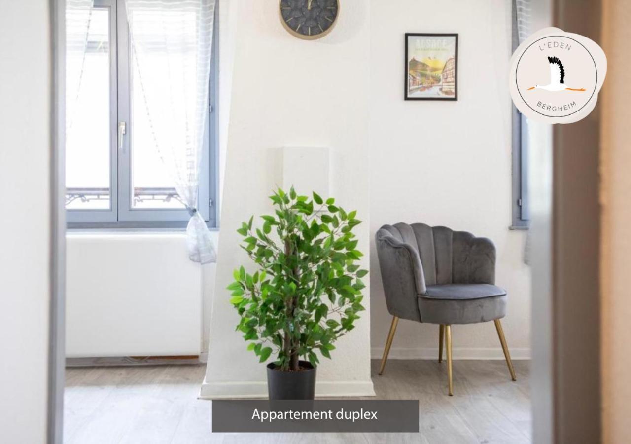 Appartements Duplex 3 Et 4 Personnes - Climatisation - Village Elu Parmi Les "Plus Beaux Villages De France" - Route Des Vins - Centre Alsace เบิร์กไฮม์ ภายนอก รูปภาพ