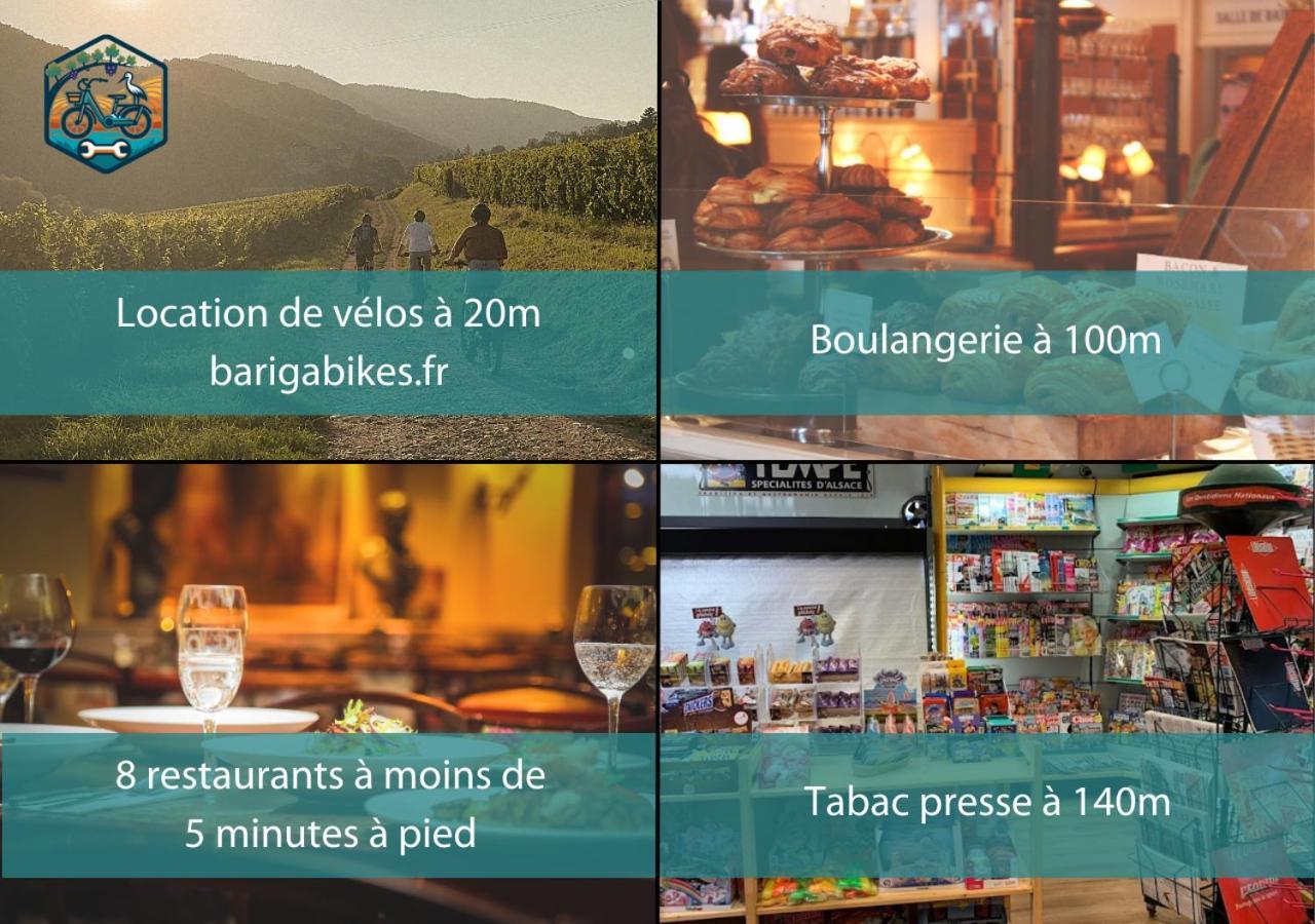 Appartements Duplex 3 Et 4 Personnes - Climatisation - Village Elu Parmi Les "Plus Beaux Villages De France" - Route Des Vins - Centre Alsace เบิร์กไฮม์ ภายนอก รูปภาพ