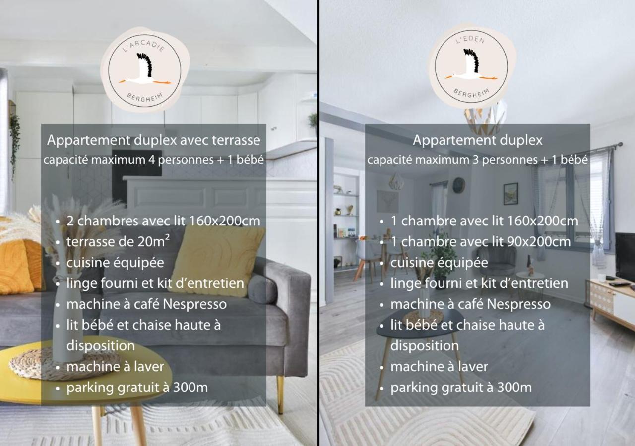 Appartements Duplex 3 Et 4 Personnes - Climatisation - Village Elu Parmi Les "Plus Beaux Villages De France" - Route Des Vins - Centre Alsace เบิร์กไฮม์ ภายนอก รูปภาพ