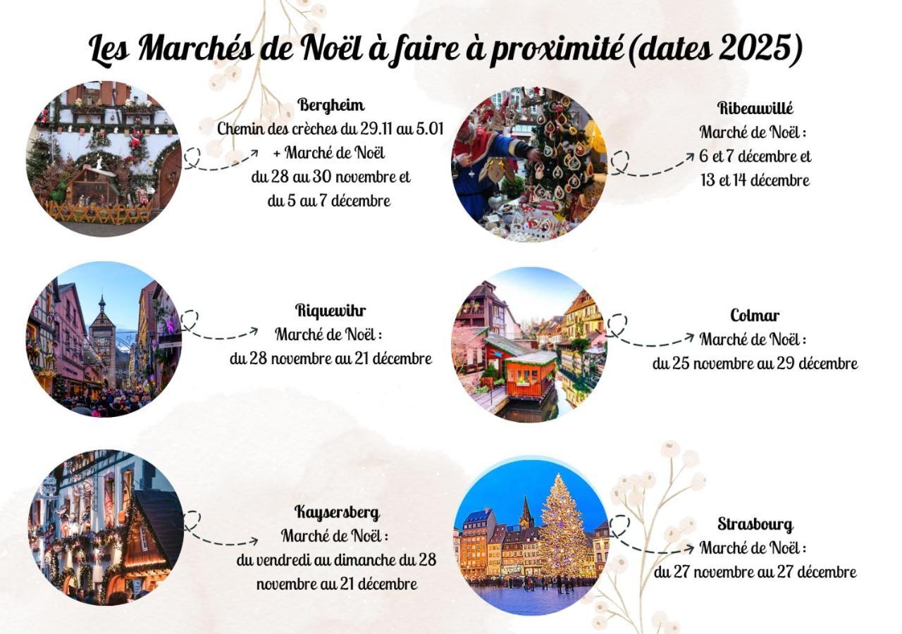 Appartements Duplex 3 Et 4 Personnes - Climatisation - Village Elu Parmi Les "Plus Beaux Villages De France" - Route Des Vins - Centre Alsace เบิร์กไฮม์ ภายนอก รูปภาพ